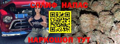 крисы Обь